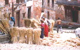 Bauern in Nepal