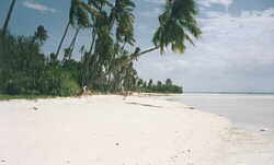 Strand bauf Mactan Island