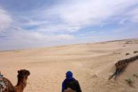 Kamelreiten Wüstenblick