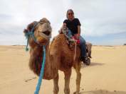 Rainer auf Kamel