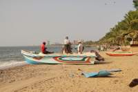Negombo Strand Fischer