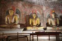 Dambulla Höhlentempel Buddha-Statuen