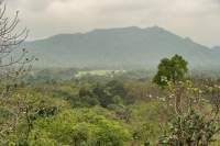 Dambulla Fernblick