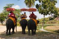 Ayutthaya Radtour Elefantenreiten
