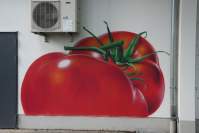 MAD Lidl Tomate