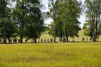 Herreninsel Völkerwanderung