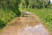 Osterseen Wegüberflutung