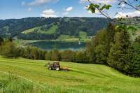 Alpsee Bergbauern