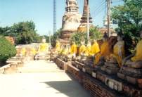 Ayuttaya Buddhas