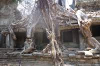 Angkor Preah Kahn