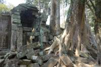 Angkor Ta Prohm Tempel