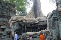 Angkor Ta Prohm Tempel
