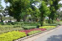 Bangkok Chatuchak Park