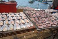 Nam Du Fischverkauf Hafen