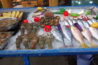 Phu Quoc Nachtmarkt Frischfisch