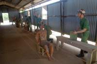 Phu Quoc Bustour Coconut Prison