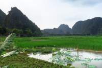 Tam Coc Mountain View Homestay