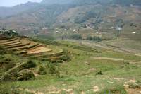 Sapa Wanderung Reisfelder