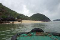 Halong Bootsausflug Affeninsel