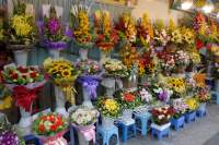Hanoi Blumengeschäft