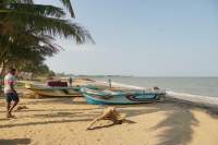 Negombo Strand Fischerboote