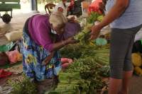 Negombo Markt Gemüse