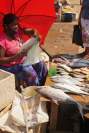 Negombo Markt