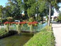 Blumenbrücke in Goldach