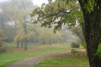 Mannheim Schlosspark im Nebel