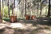 Hohenbachern Bienenzucht