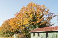 Speichersee Herbstfarben