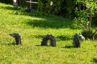 Tutzing Garten-Nessie