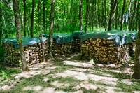 Weg Obertraubing Meterholz