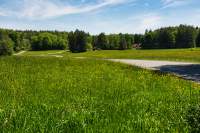 Weg Obertraubing Futterwiesen