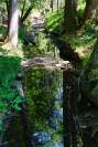Idyllisches Bächlein