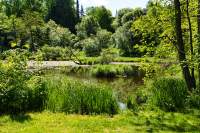 Ebersberg Kleiner Weiher