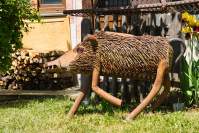 Ebersberg Stachelschwein