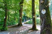 Ebersberg Helden-Gedenktafeln
