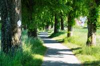 Ebersberg Heldenallee