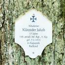 Ebersberg Tod mit 17