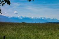 Walchstadter Höhe Alpenblick