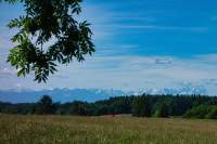 Walchstadter Höhe Alpenblick