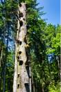 Icking Pilz-Treppe