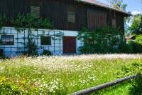 Irschenhausen Margaritenwiese